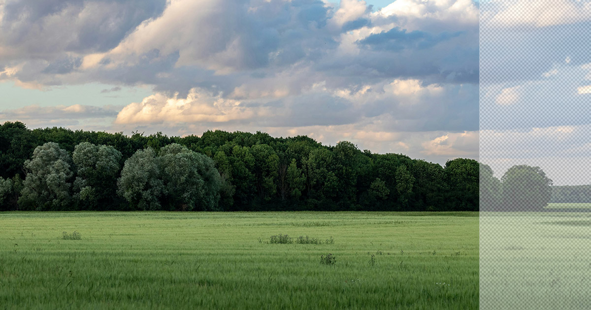 How AI tools like generative fill are changing post-production
